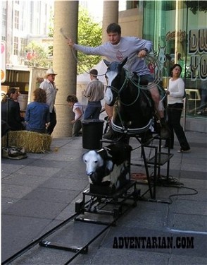 Calf_Roping