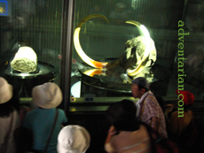 mammoth